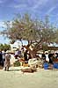 Midoun : Seconde ville de Djerba, Midoun vaut surtout par son marché  du vendredi.